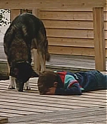 BSN-WWF039.jpg