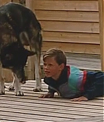 BSN-WWF040.jpg