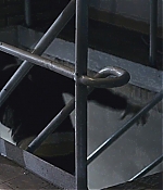BSN-KB552.jpg