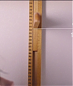 BSN-SS029.jpg