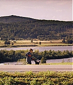 BSN-SS207.jpg