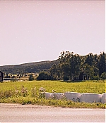 BSN-SS317.jpg