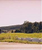 BSN-SS318.jpg