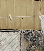 BSN-STO694.jpg