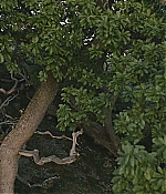 Filename=BSN-STO762.jpg
Filesize=273KiB
Dimensions=1920x816
Date added=Apr 27, 2021 BSN-STO762.jpg