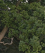 BSN-STO764.jpg