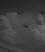 BSN-ASA144.jpg