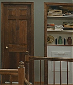 BSN-V305.jpg