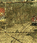 BSN106-204.jpg