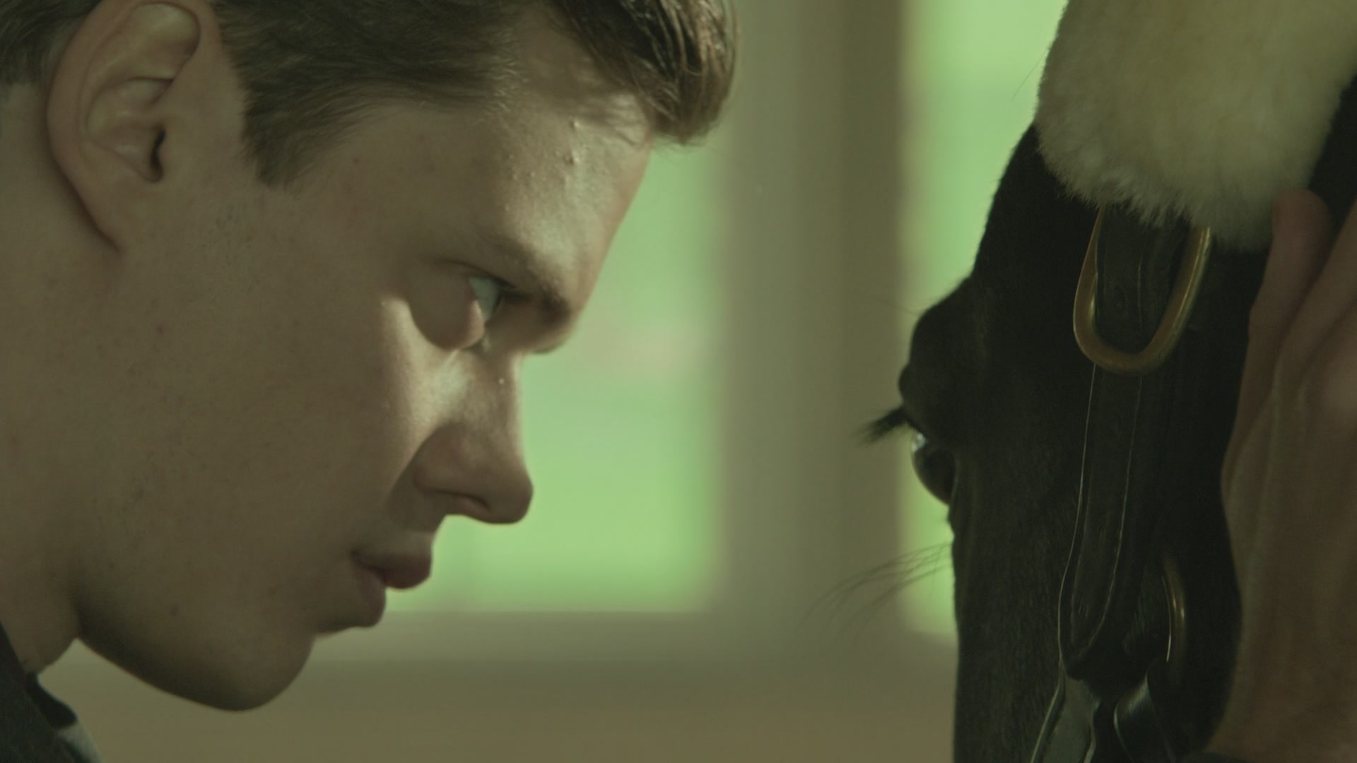 BSN202-113.jpg BSN202-113.jpg