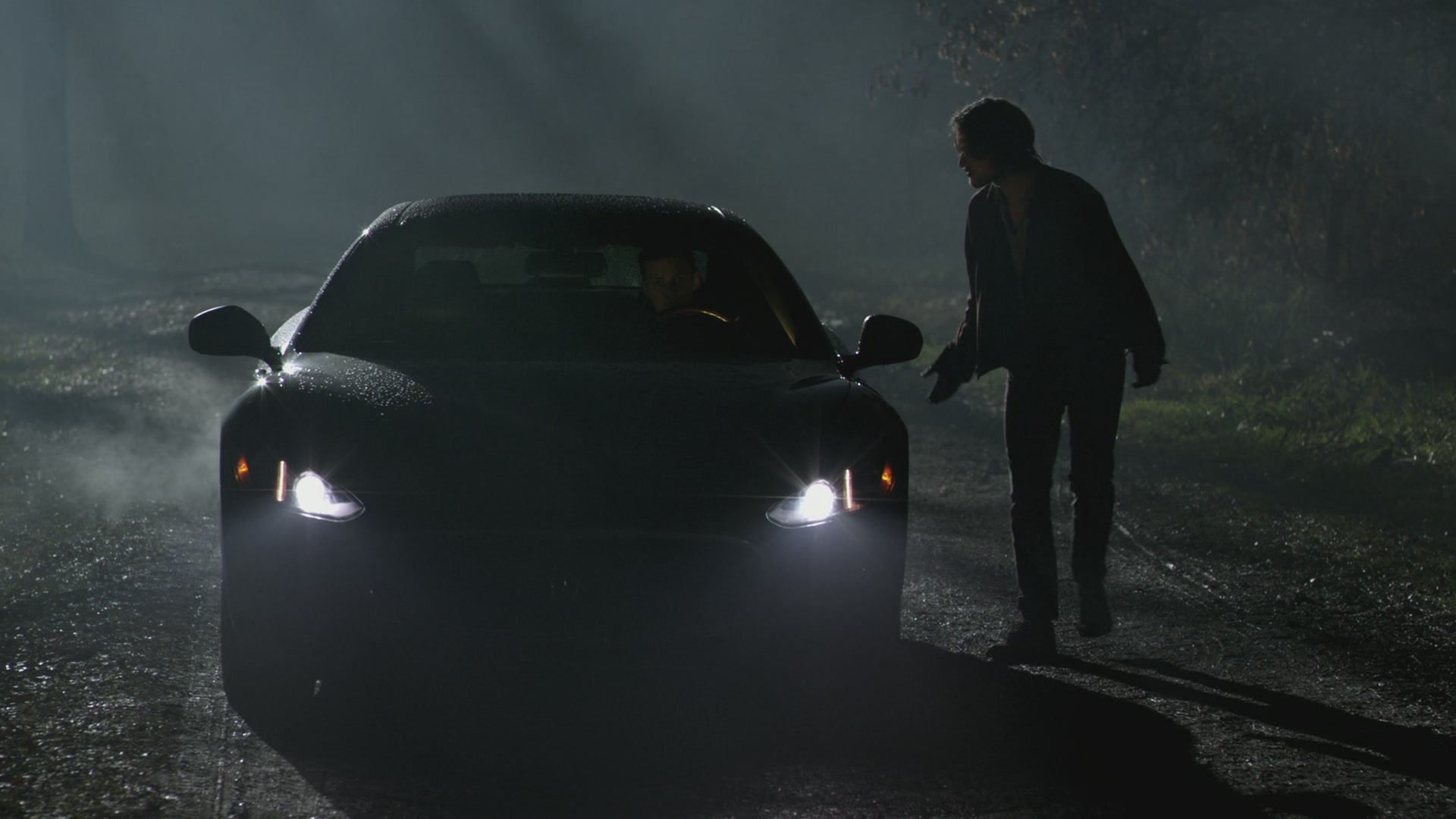 BSN203-005.jpg