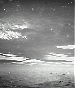 BSN207-003.jpg
